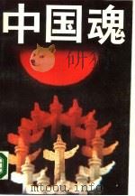 中国魂（1989 PDF版）
