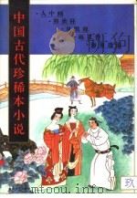 中国古代珍稀本小说  9（1994 PDF版）