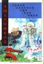 中国古代珍稀本小说  8（1994 PDF版）