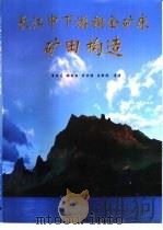 长江中下游铜金矿床矿田构造（1999 PDF版）