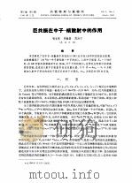 巨共振在中子-核散射中的作用     PDF电子版封面    杨立铭，钟毓澍等 