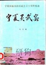 宁夏灵武窑（1988 PDF版）