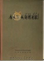 唐长安城郊隋唐墓   1980  PDF电子版封面  11068·778  中国社会科学院考古研究所编著 