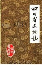 四川省文物志  征求意见稿（1985 PDF版）