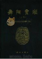 舞阳贾湖  上（1999 PDF版）