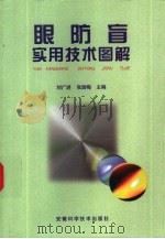 眼防盲实用技术图解   1998  PDF电子版封面  7533716809  刘广进，张国梅主编 