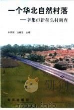 一个华北自然村落-辛集市新垒头村调查（1998 PDF版）