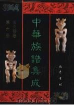 中华族谱集成  王氏谱卷  第6册（1995 PDF版）
