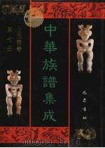 中华族谱集成  王氏谱卷  第7册（1995 PDF版）