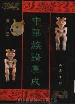 中华族谱集成  王氏谱卷  第8册（1995 PDF版）