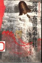 国魂，在国难中挣扎  抗战时期的中国文化   1995  PDF电子版封面  7563321616  冯崇义著 