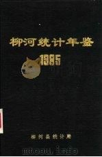 柳河统计年鉴  1985     PDF电子版封面    柳河县统计局 