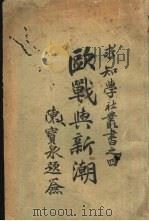 欧战与新潮   1923  PDF电子版封面    王金绂编 