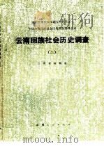 云南回族社会历史调查  2（1985 PDF版）