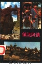 镇沅风情（1989 PDF版）