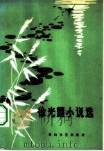 徐光耀小说选（1983 PDF版）