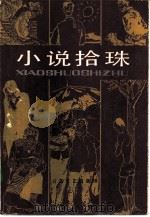 小说拾珠   1985  PDF电子版封面  10151·851  崔道怡编 