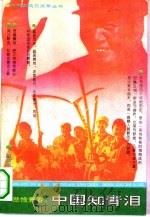 悲怆青春  中国知青泪   1993  PDF电子版封面  7800618104  余夫，汪卫华编 