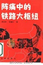 阵痛中的铁路大枢纽   1989  PDF电子版封面  7503604719  高立林，张建文著 