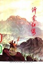 沂蒙红缨  山东民兵斗争故事选（1977 PDF版）