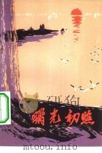 曙光初照  民兵斗争故事集（1976 PDF版）
