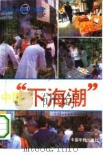 中国“下海”潮  当代生意人实录   1993  PDF电子版封面  7800747212  大清著 