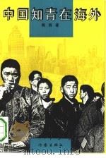 中国知青在海外（1993 PDF版）
