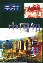 中国知青梦（1996 PDF版）