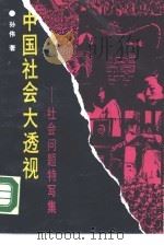 中国社会大透视  社会问题特写集   1989  PDF电子版封面  7500406606  孙伟著 