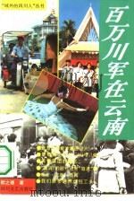 百万川军在云南（1994 PDF版）