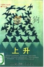 上升  当代中国大陆新生代散文选（1991 PDF版）