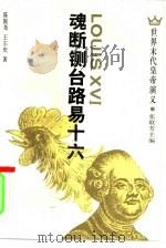 魂断铡台路易十六   1994  PDF电子版封面  7500415834  陈振尧，王尔庆著 