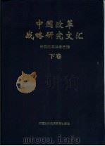 中国改革战略研究文汇  下（1999 PDF版）