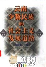 云南少数民族的社会主义发展道路   1999  PDF电子版封面  7810256548  陈国新主编 