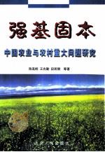 强基固本  中国农业与农村重大问题研究   1998  PDF电子版封面  7209023267  陈高桐，王兆勤等著 