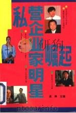 崛起、私营企业家明星  中国20位民营明星企业家  第2卷（1994 PDF版）