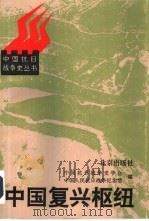 中国复兴枢纽  抗日战争的八年（1995 PDF版）