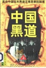 中国黑道  上   1998  PDF电子版封面  7800944131  傅苍树编著 