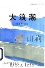 经济与文化  第一辑：大浪潮   1994年09月第1版  PDF电子版封面    胡伟希主编 