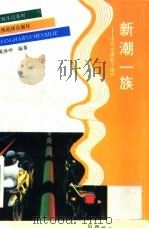 新潮一族  当代中国的个体户（1993 PDF版）