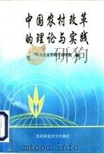 中国农村改革的理论与实践（1994 PDF版）