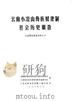 云南小凉山彝族奴隶制社会历史调查（1977 PDF版）