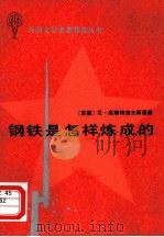 钢铁是怎样炼成的   1982  PDF电子版封面  10070·115  （苏）尼·奥斯特洛夫斯基（Н.Островский）著；菡子 