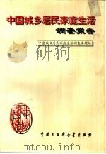 中国城乡居民家庭生活调查报告（1994 PDF版）