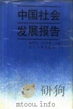 中国社会发展报告（1991 PDF版）