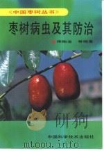 枣树病虫及其防治   1993  PDF电子版封面  7504609544  陈贻金等编著 