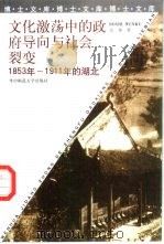 文化激荡中的政府导向与社会裂变  1853年-1911年的湖北   1998  PDF电子版封面  7562219621  高钟著 