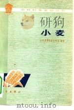 小麦   1975  PDF电子版封面  13031·361  山东省莱阳农业学校编著 