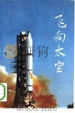 飞向太空   1992  PDF电子版封面  7800344959  谭文瑞主编；潘毅责任编辑 