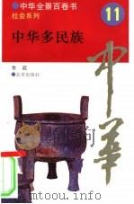 中华多民族（1994 PDF版）